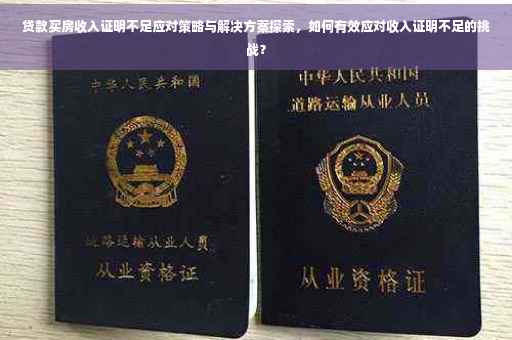 贷款买房收入证明不足应对策略与解决方案探索，如何有效应对收入证明不足的挑战？