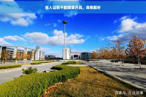 收入证明不能随意开具，真相解析