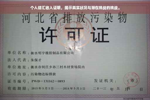 个人结汇收入证明，揭示真实状况与潜在挑战的挑战。