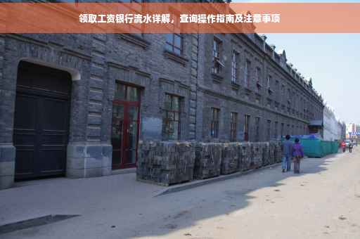 领取工资银行流水详解，查询操作指南及注意事项