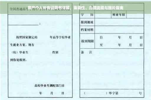 房产个人所有证明书详解，重要性、办理流程与图片指南