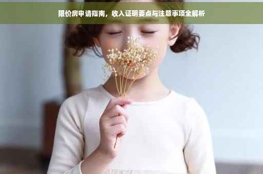 限价房申请指南，收入证明要点与注意事项全解析