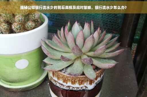 揭秘公司银行流水少的背后真相及应对策略，银行流水少怎么办？