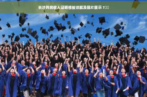 长沙购房收入证明模板详解及图片展示 ?⚡️