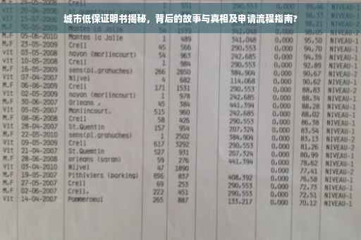 城市低保证明书揭秘，背后的故事与真相及申请流程指南?