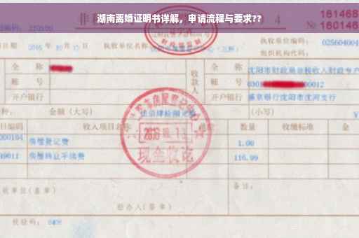湖南离婚证明书详解，申请流程与要求??