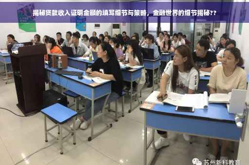 揭秘贷款收入证明金额的填写细节与策略，金融世界的细节揭秘??