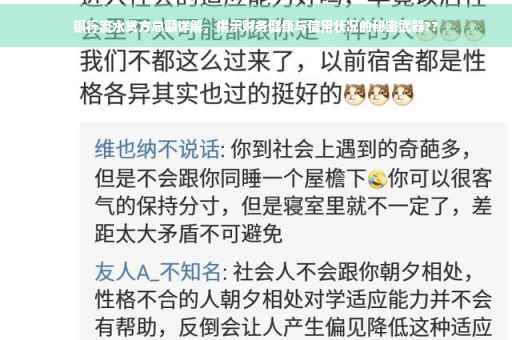银行流水贷方总额详解，揭示财务健康与信用状况的秘密武器??