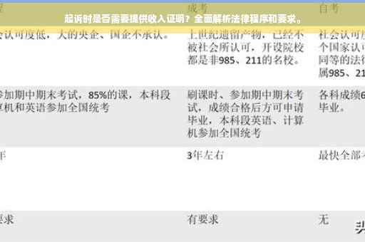 起诉时是否需要提供收入证明？全面解析法律程序和要求。