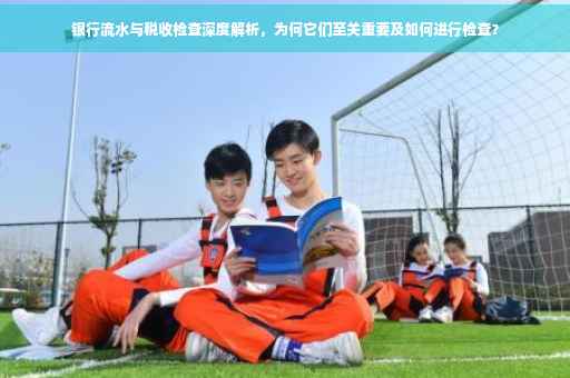 银行流水与税收检查深度解析，为何它们至关重要及如何进行检查？