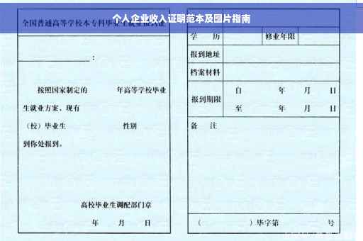 个人企业收入证明范本及图片指南