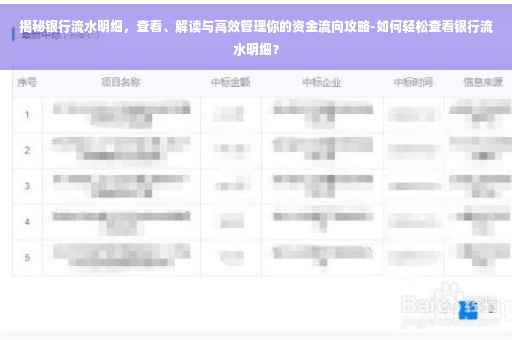揭秘银行流水明细，查看、解读与高效管理你的资金流向攻略-如何轻松查看银行流水明细？