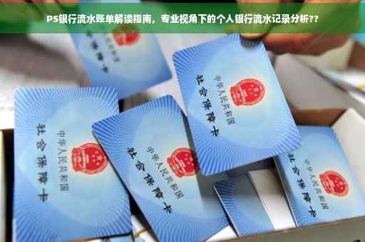 PS银行流水账单解读指南，专业视角下的个人银行流水记录分析??