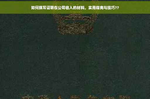 如何撰写证明在公司收入的材料，实用指南与技巧??
