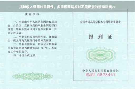 揭秘收入证明的重要性，多重原因与应对不同场景的策略指南??