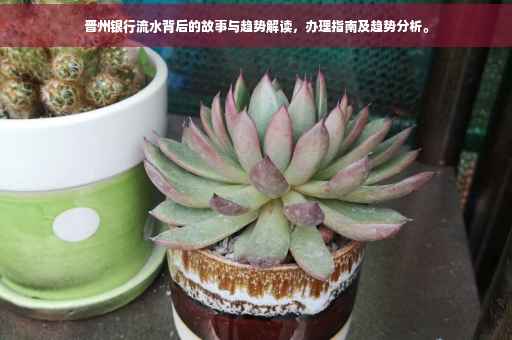 晋州银行流水背后的故事与趋势解读，办理指南及趋势分析。