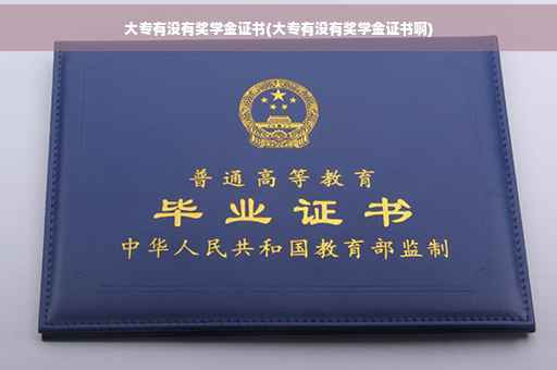 大专有没有奖学金证书(大专有没有奖学金证书啊)