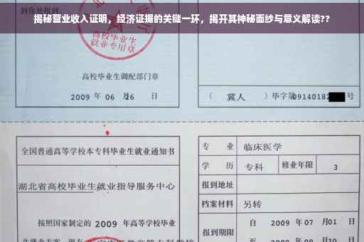 揭秘营业收入证明，经济证据的关键一环，揭开其神秘面纱与意义解读??