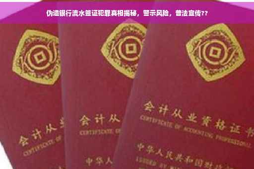 伪造银行流水签证犯罪真相揭秘，警示风险，普法宣传??