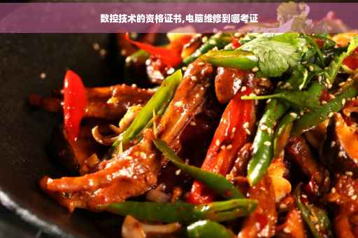 数控技术的资格证书,电脑维修到哪考证
