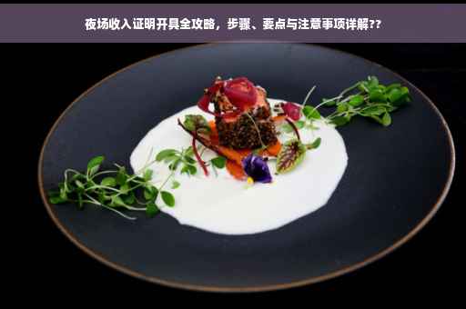 夜场收入证明开具全攻略，步骤、要点与注意事项详解??