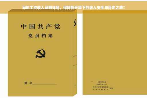 异地工资收入证明详解，保障新环境下的收入安全与稳定之路✨
