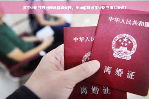 股东证明书的用途及其重要性，全面解析股东证明书撰写要点?
