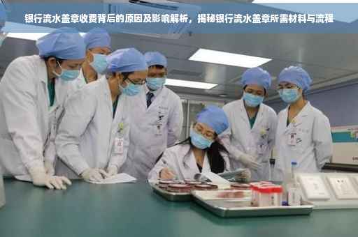 银行流水盖章收费背后的原因及影响解析，揭秘银行流水盖章所需材料与流程