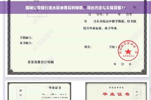 揭秘公司银行流水回单背后的秘密，导出方法与关键洞察??