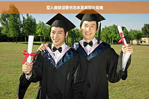 军人病故证明书范本及其图片指南