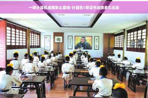 一级计算机成绩怎么查询-计算机1级证书成绩多久出来