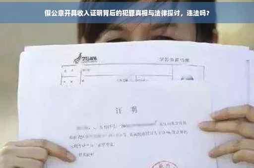 假公章开具收入证明背后的犯罪真相与法律探讨，违法吗？
