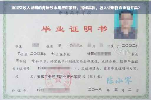 重提交收入证明的背后故事与应对策略，揭秘真相，收入证明能否重新开具？