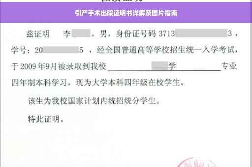 引产手术出院证明书详解及图片指南