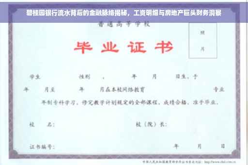 碧桂园银行流水背后的金融脉络揭秘，工资明细与房地产巨头财务洞察