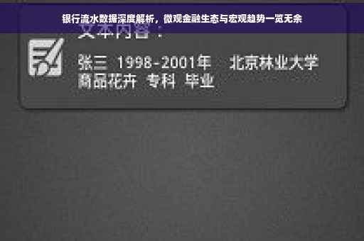 银行流水数据深度解析，微观金融生态与宏观趋势一览无余