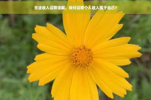 合法收入证明详解，如何证明个人收入属于自己？