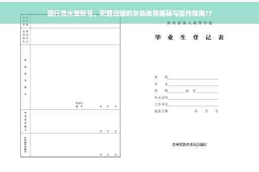 银行流水查账号，犯罪边缘的灰色地带揭秘与操作指南??
