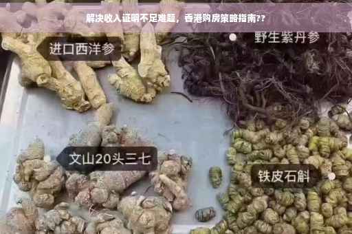 解决收入证明不足难题，香港购房策略指南??
