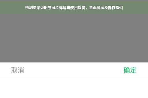 检测结果证明书图片详解与使用指南，全面展示及操作指引