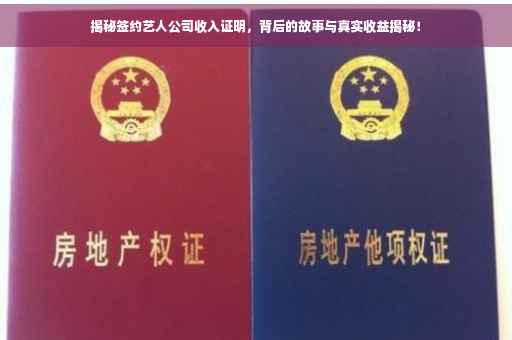 揭秘签约艺人公司收入证明，背后的故事与真实收益揭秘！