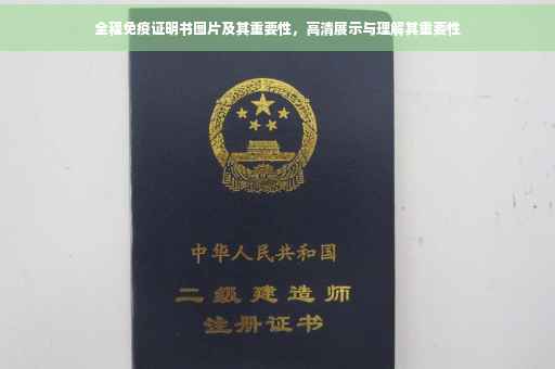全程免疫证明书图片及其重要性，高清展示与理解其重要性