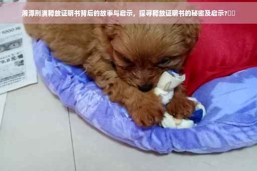 湘潭刑满释放证明书背后的故事与启示，探寻释放证明书的秘密及启示?⚡️