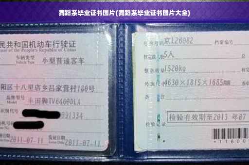 舞蹈系毕业证书图片(舞蹈系毕业证书图片大全)