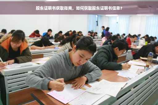 股东证明书获取指南，如何获取股东证明书信息？
