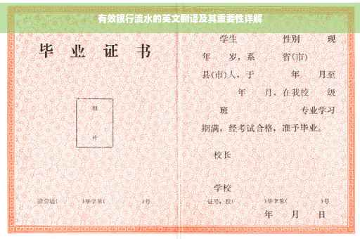 有效银行流水的英文翻译及其重要性详解