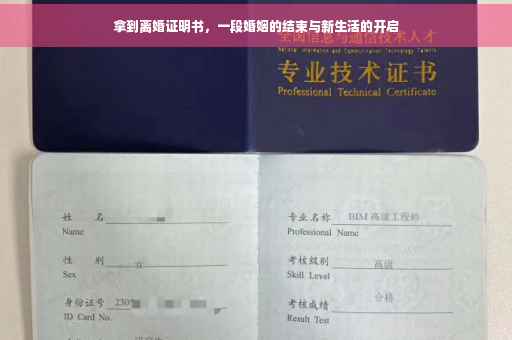 拿到离婚证明书，一段婚姻的结束与新生活的开启