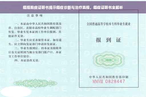 癌细胞病证明书揭示癌症诊断与治疗真相，癌症证明书全解析