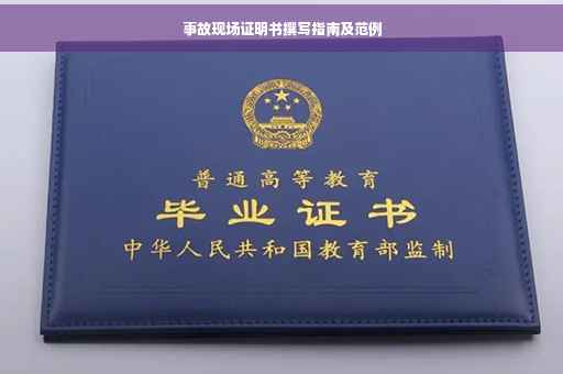 事故现场证明书撰写指南及范例