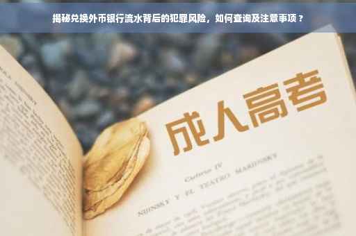 揭秘兑换外币银行流水背后的犯罪风险，如何查询及注意事项 ?